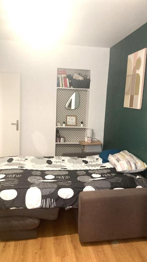 Chambre En Appartement Haussmannien En Centre Ville Saint-Etienne  Ngoại thất bức ảnh