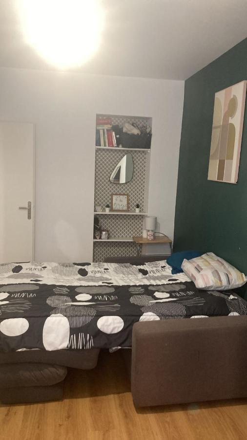 Chambre En Appartement Haussmannien En Centre Ville Saint-Etienne  Ngoại thất bức ảnh